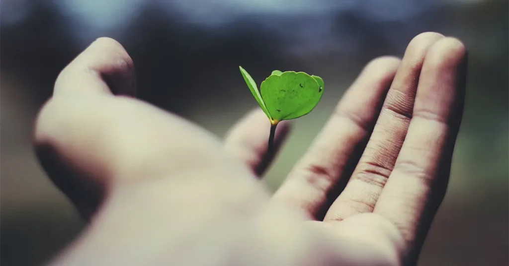 A close-up image of a hand gently holding a small green leaf against a blurred background. The delicate leaf contrasts with the skin, suggesting themes of nature and nurture.