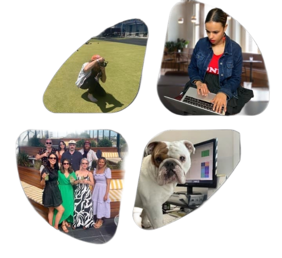 A collage of four images: a person photographing on a field, a person typing on a laptop, a group smiling and posing outdoors, and a bulldog looking at a computer screen.