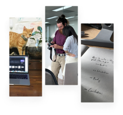 An image collage showing three scenes: On left, an orange cat sits next to a laptop on a wooden surface. In the middle, two people are examining a camera together in an office setting. On the right, a close-up shot of handwritten text on paper.