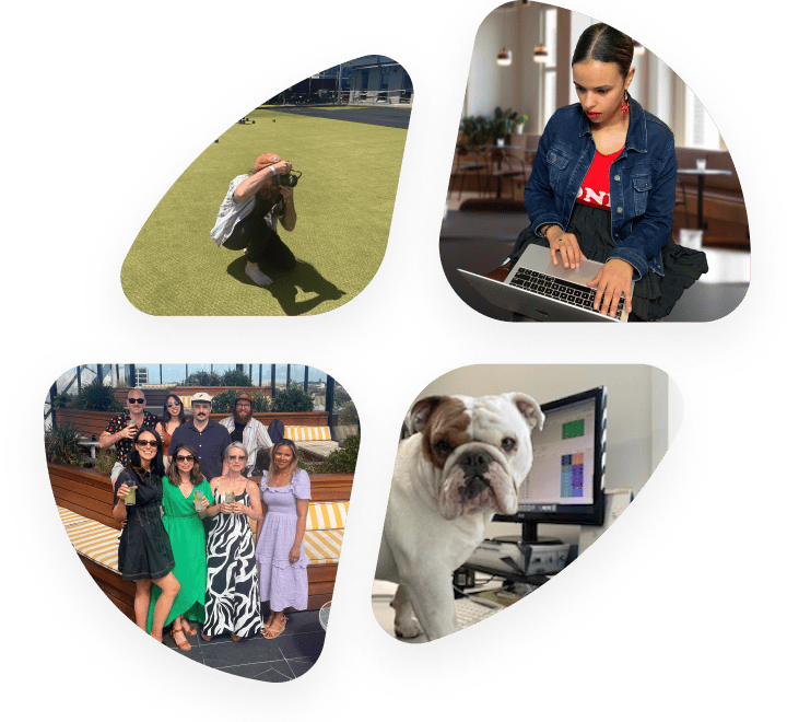 A collage of four images: a person photographing on a field, a person typing on a laptop, a group smiling and posing outdoors, and a bulldog looking at a computer screen.