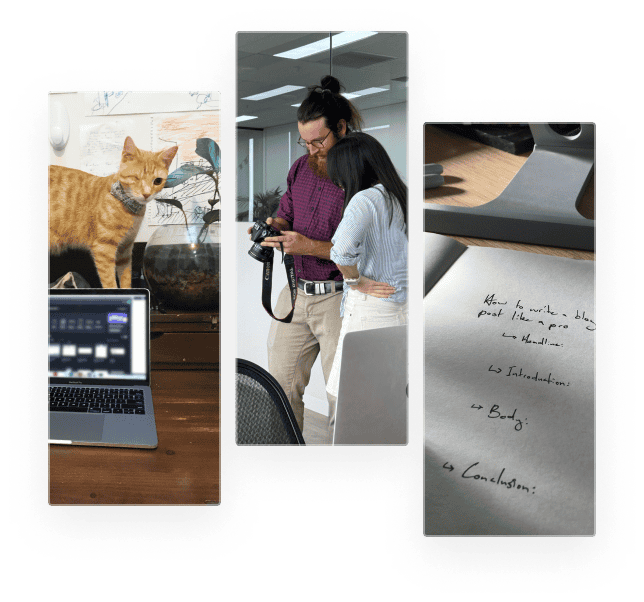 A collage of three images: On the left, a ginger cat stands beside a laptop on a wooden desk. In the center, two people review photos on a camera in an office setting. On the right, a handwritten note titled with sections labeled "Introduction," "Body," and "Conclusion."