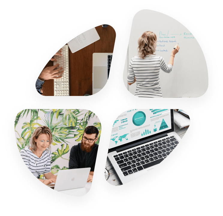 A collage of four images triangular shapes: top left shows hands typing on a laptop keyboard, top right shows a person in a striped shirt writing on a whiteboard, bottom left shows two people collaborating over a laptop against a tropical leaf wallpaper, and bottom right displays a laptop screen with business analytics and graphs.